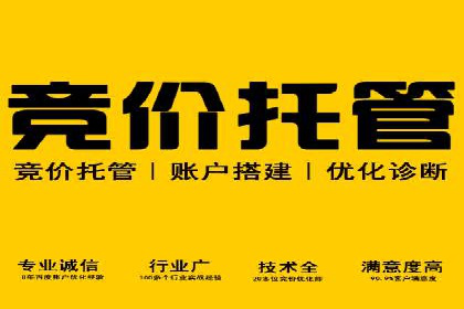 优化搜索流量：SEO技巧的多个成功案例